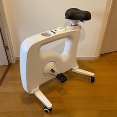 価格変更！！ Flexispot バイクチェア V9U