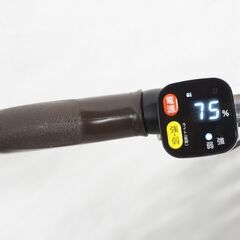 BRIDGESTONE 「ブリヂストン」 ラクットワゴン FW0B40 2020年モデル 電動アシスト自転車