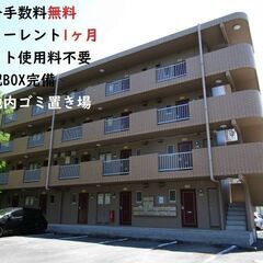 🚘MansionDIANA206号室🚘★仲介手数料0円！★敷金・礼金ナシ(0円・ゼロ）物件✨💻ネット無料♪🏠磐田市岩井のお部屋★間取り1DK（洋室8帖、DK6帖）　　★お家賃36,000円★の画像