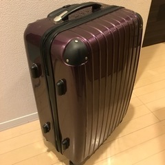 スーツケース(お取引中)