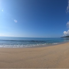 ビーチクリーンを一緒にしませんか🏖⁇