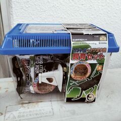 カブト虫クワガタ虫！飼育セット