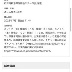 ライジングサンロックフェスティバル2022 通し入場券1枚