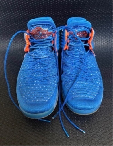 NIKE ナイキ エア ジョーダン WHY NOT