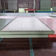 柔道マット かすみ 講道館指定 畳 １０枚セット