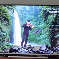 【引取者決定】東芝 REGZA 55型 液晶テレビと録画用HDD...