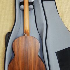 Sheeran by Lowden シーラン バイ ローデン エレアコ W02