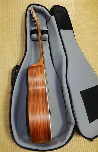 Sheeran by Lowden シーラン バイ ローデン エレアコ W02