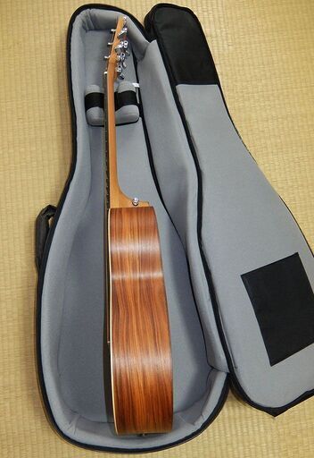 Sheeran by Lowden シーラン バイ ローデン エレアコ W02