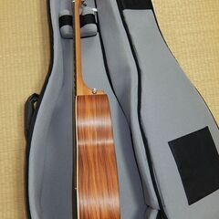 Sheeran by Lowden シーラン バイ ローデン エレアコ W02