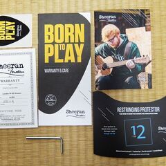 Sheeran by Lowden シーラン バイ ローデン エレアコ W02