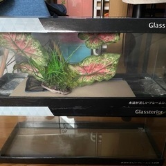 東京都 町田市の水槽の中古が安い 激安で譲ります 無料であげます ジモティー
