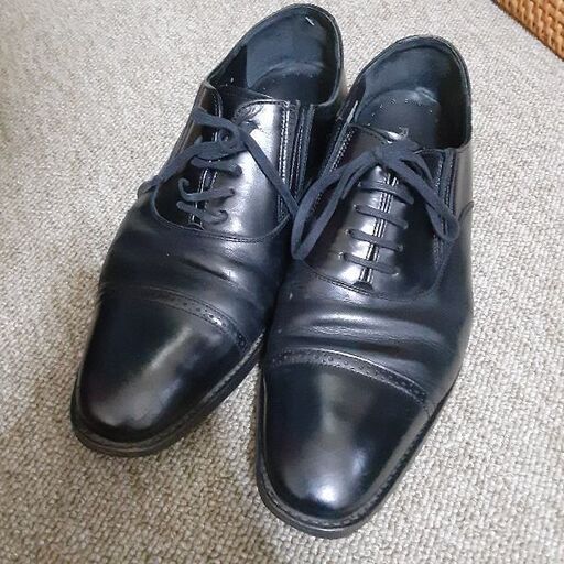 WALKERA ワルケラ V450D03用 テールブーム 【楽天市場】【Cpost