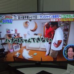2018年型 LG電子43インチ4K対応液晶テレビ（美品）