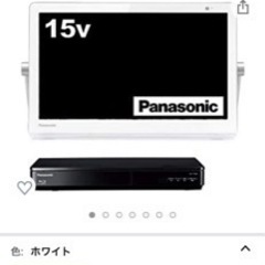 Panasonic プライベート・ビエラ UN-15CTD8-W 防水