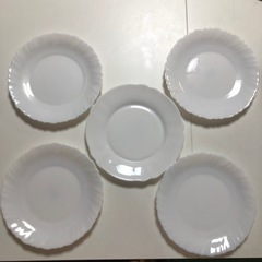 白いシンプルな割れにくいお皿