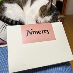 Nmerry エヌメリー 4L ピンク