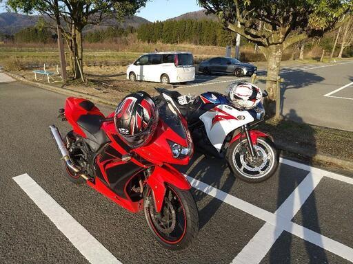 NINJA250R 2009年 250cc 赤 \n走行距離 32700km