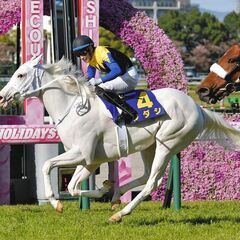 競馬、ウマ娘好きの友達募集