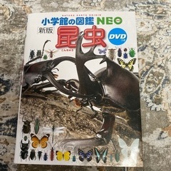 新品購入　購入2200円　DVD付　昆虫　小学館の図鑑NEO　表...