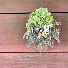 アナベル紫陽花 スワッグpg