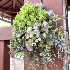 アナベル紫陽花 スワッグpg