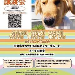 8月28日 保護犬・猫・うさぎ　譲渡会の画像