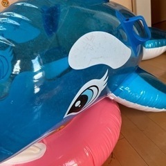 【ネット決済】浮き輪とイルカのセット