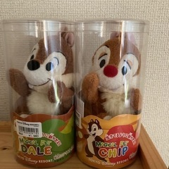 ディズニーランド限定品　　✨新品✨