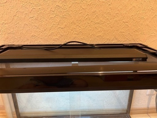 爬虫類ゲージ 90 45 h60 ズーメット ライト付き
