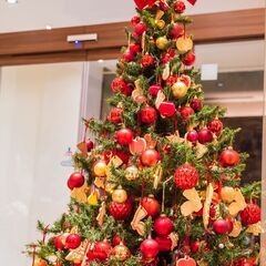 【12月10日㈯予定】クリスマスライトアップ撮影@恵比寿 (Kanoa Photo Club) - 港区