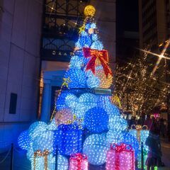 【12月10日㈯予定】クリスマスライトアップ撮影@恵比寿 (Kanoa Photo Club) - メンバー募集