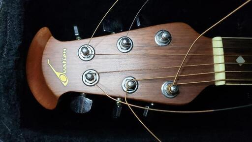 引取限定】Ovation / Celebrity CC157(訳あり) | pcmlawoffices.com
