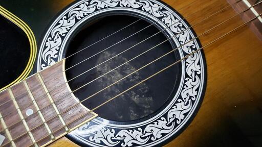 引取限定】Ovation / Celebrity CC157(訳あり) | pcmlawoffices.com