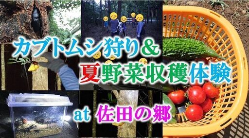 カブトムシ狩り 夏野菜収穫体験 ８月１４日 参加費５００円 お得 加藤義博 豊後豊岡のワークショップのイベント参加者募集 無料掲載の掲示板 ジモティー