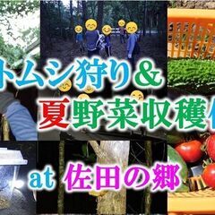 🪲🍉カブトムシ狩り＆夏野菜収穫体験（８月１４日）🪲🍅　※参加費５...