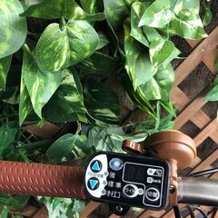 タイヤ新品 電動自転車 バッテリ ー良品 子供乗せ 20インチ B ヤマハ