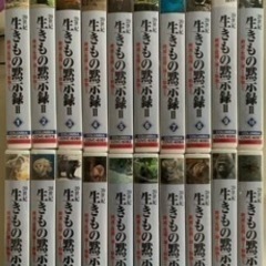 VHS 生きもの黙示録2  中山千夏　12本