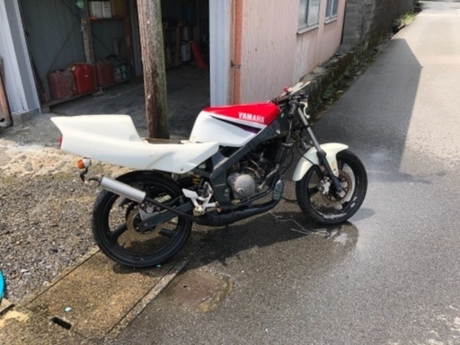 TZR50R ヤマハ　セル　4EU