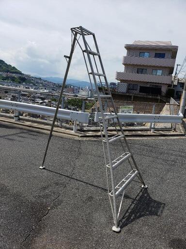 取引中　園芸　脚立　8尺(2メートル40センチくらい)