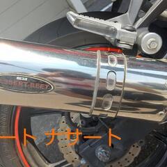 NINJA250R 2009年 250cc 赤 
走行距離 32700km
