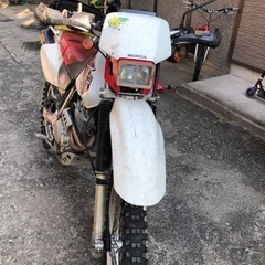 【ネット決済】規制前最終型ＸＲ２５０！