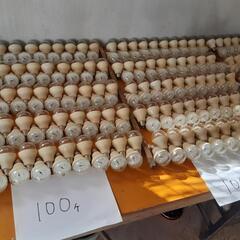 LED電球　菊屋外用