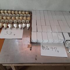 LED電球　菊屋外用