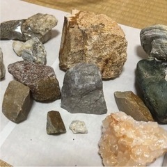 石 鉱石 化石 など