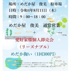 愛好家様　めだか　個人即売会❗️