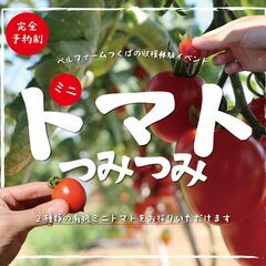 ベルファームつくば　有機農場　ミニトマト収穫体験イベント『…