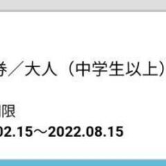 大江戸温泉　浦安万華郷　入館券　1枚②