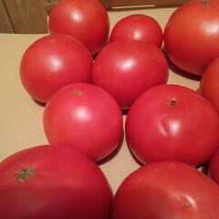 大玉トマト2kg