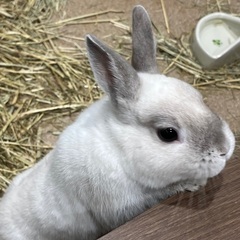 動物園・水族館好き友達募集